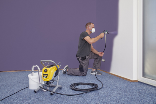 Wagner Airless 250M Control Pro - Image 2